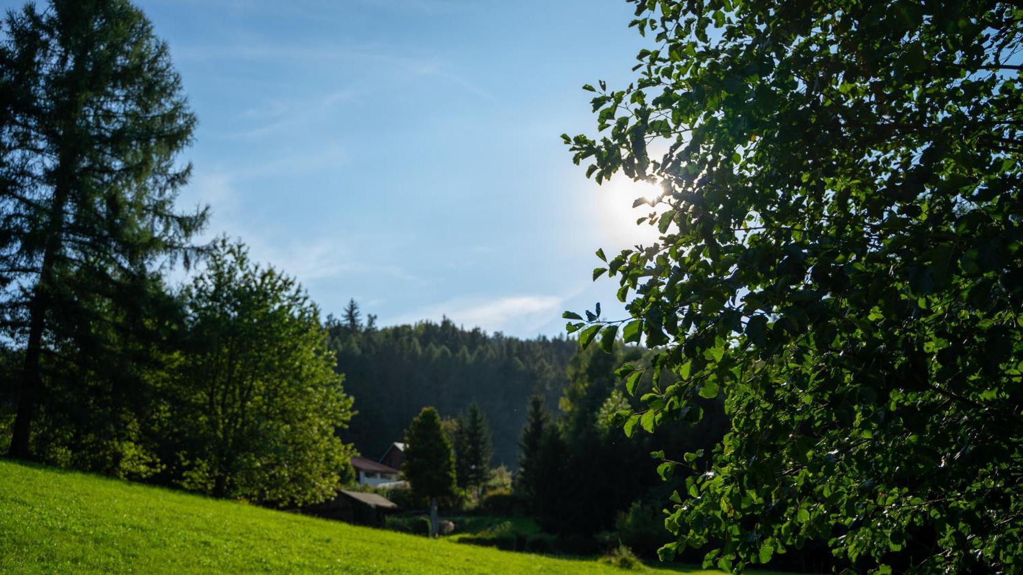 Penzion Myskova Apartment Teplice nad Metuji Bagian luar foto